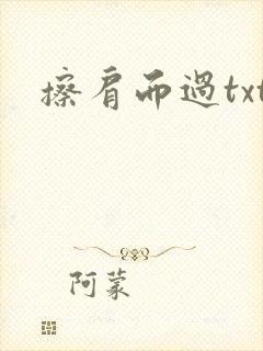 擦肩而过txt