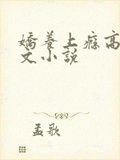 娇养上瘾高H爽文小说