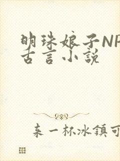 明珠娘子NPC古言小说