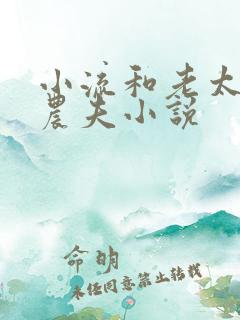 小流和老太69农夫小说