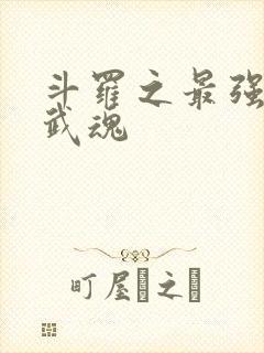 斗罗之最强治疗武魂