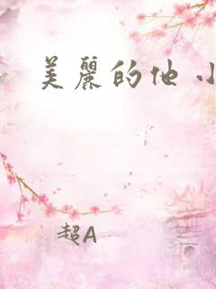 美丽的他 小说