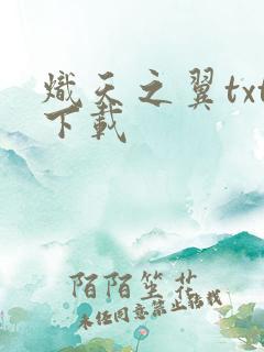 炽天之翼txt下载