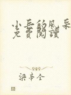 小兵的风采小说免费阅读