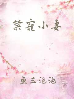 禁宠小妻
