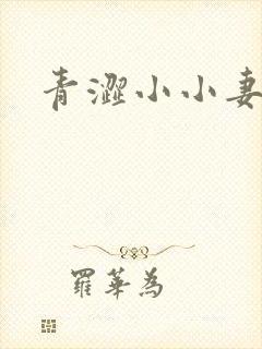 青涩小小妻