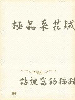 极品采花贼
