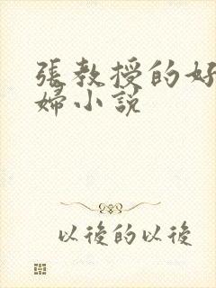 张教授的好儿媳妇小说