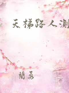 天梯路人测试器