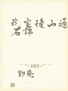 我家后山通仙界石锦