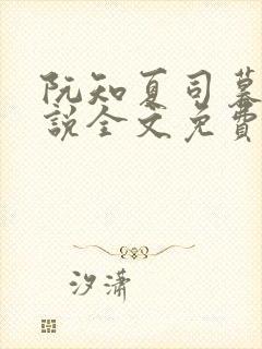 阮知夏司暮寒小说全文免费