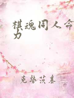 棋魂同人命运之力