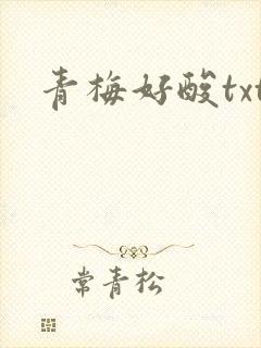 青梅好酸txt