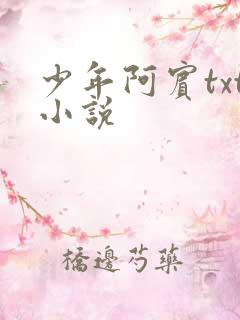 少年阿宾txt小说