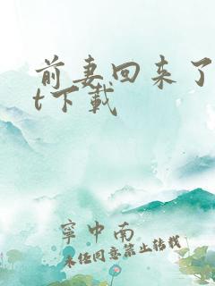 前妻回来了txt下载