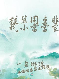 校草同桌非要撩我小当当家