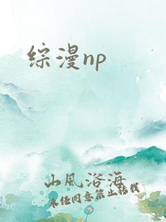 综漫np