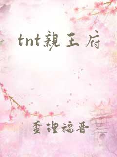tnt亲王府