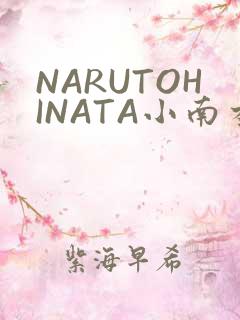 NARUTOHINATA小南本子