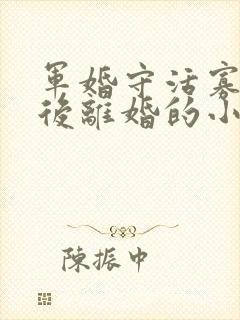 军婚守活寡重生后离婚的小说