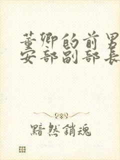 董卿的前男友公安部副部长