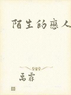陌生的恋人小说