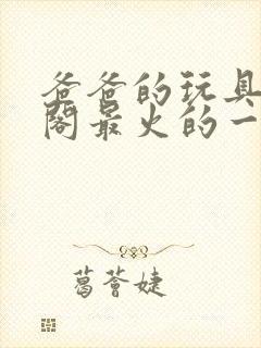 爸爸的玩具笔趣阁最火的一句