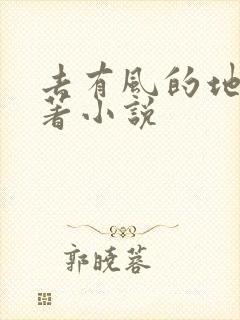 去有风的地方原著小说
