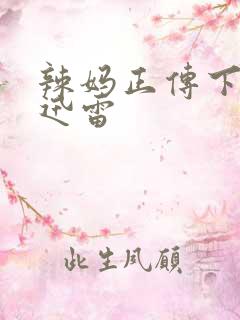 辣妈正传下载 迅雷