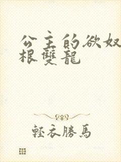 公主的欲奴h四根双龙