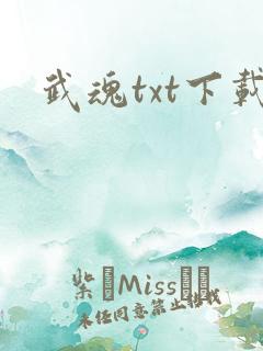 武魂txt下载