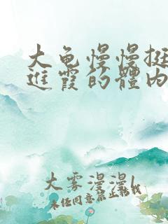 大龟慢慢挺进王进霞的体内