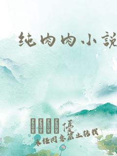 纯肉肉小说