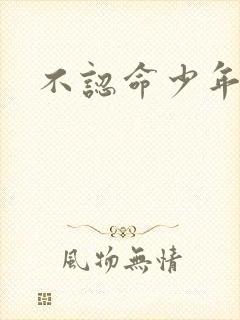 不认命少年向阳