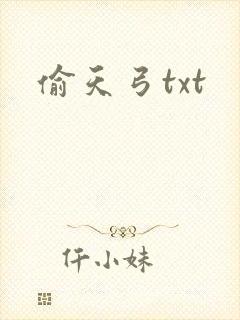 偷天弓txt