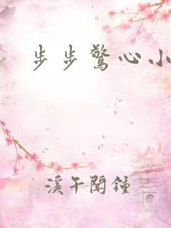 步步惊心小说2