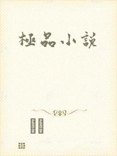极品小说