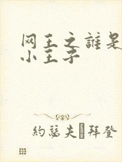 网王之谁是我的小王子