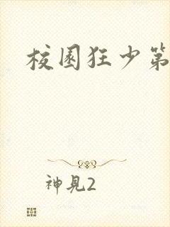 校园狂少第二部