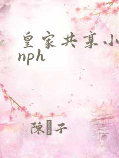 皇家共享小公主nph
