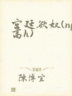 宫廷欲奴(np高h)