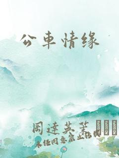 公车情缘