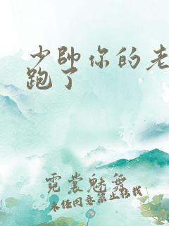 少帅你的老婆又跑了