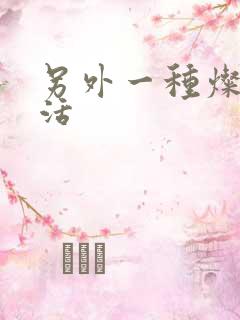 另外一种灿烂生活