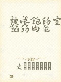 被喂饱的室友爆馅的肉包