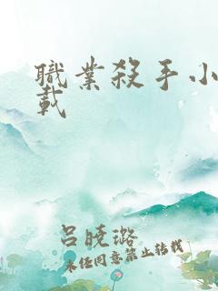 职业杀手小说下载