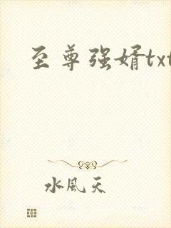 至尊强婿txt