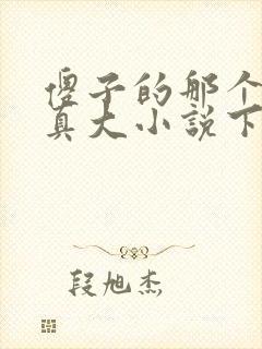 傻子的那个东西真大小说下载