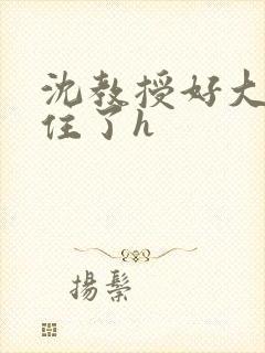 沈教授好大含不住了h