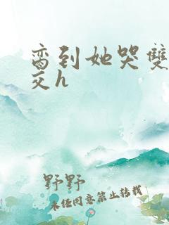 脔到她哭双根宫交h